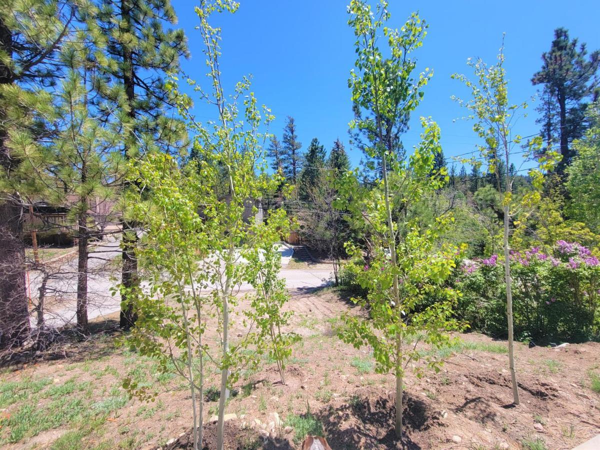 Four Seasons Getaway-Private Hot Spa With Pine Tree Views-Walk To Village And Pineknot Trailhead-Plus King Bed! Big Bear Lake Kültér fotó