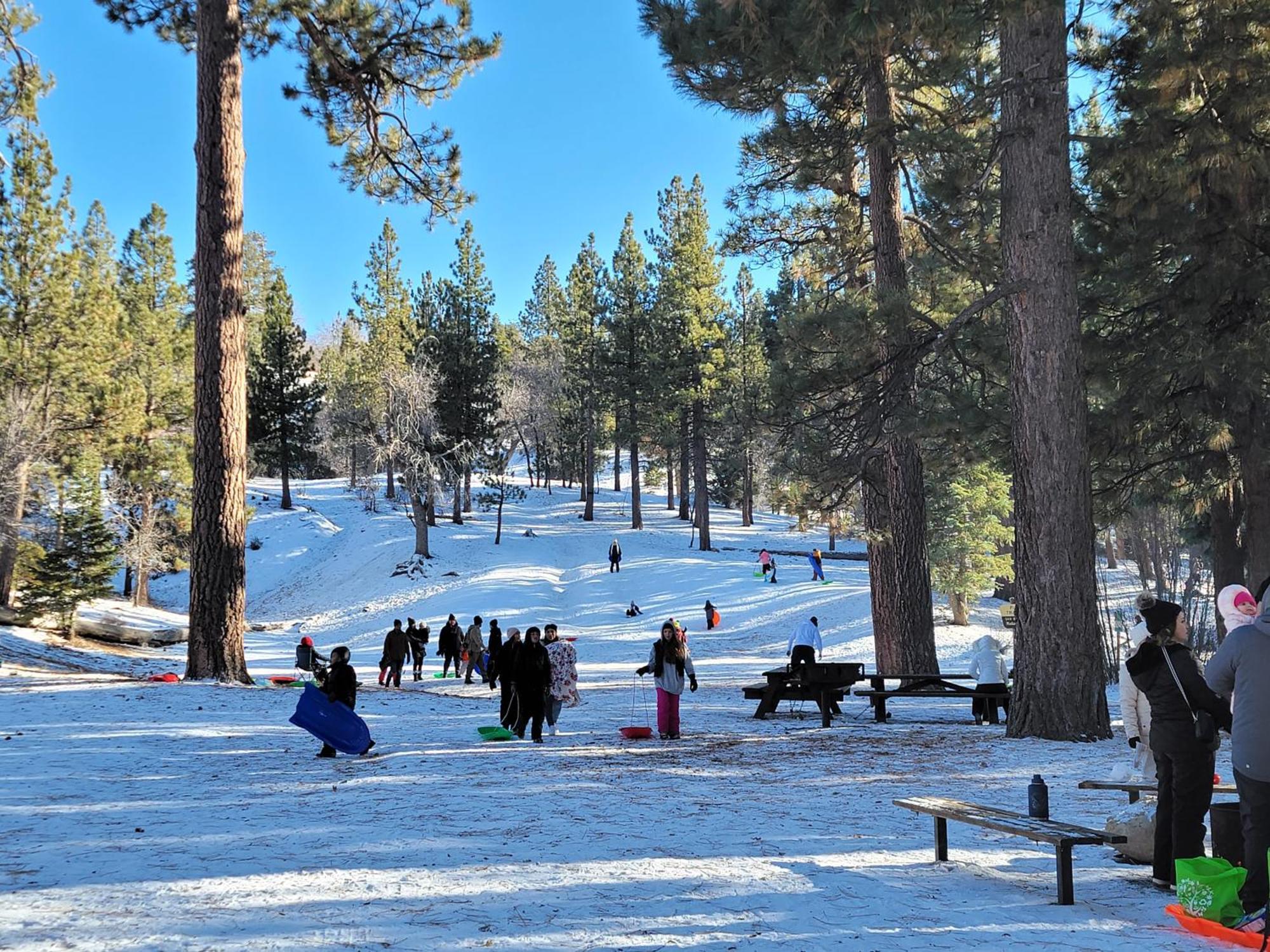Four Seasons Getaway-Private Hot Spa With Pine Tree Views-Walk To Village And Pineknot Trailhead-Plus King Bed! Big Bear Lake Kültér fotó